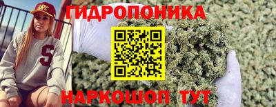 apvp Гусев