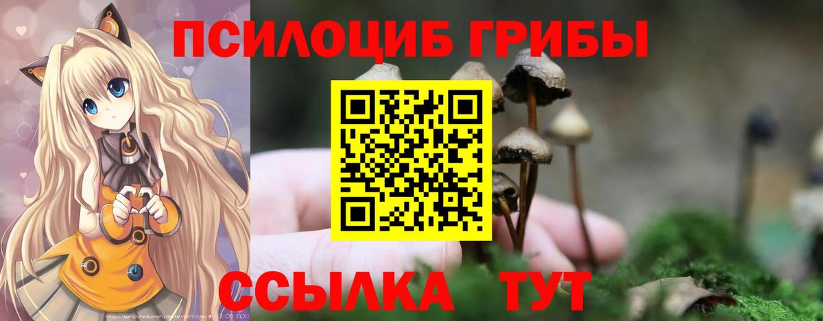Псилоцибиновые грибы мицелий Орёл